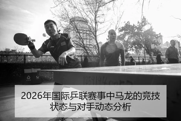 nian-guo-ji-ping-lian-sai-shi-zhong-ma-long-de-jing-ji-zhuang-tai-yu-dui-shou-dong-tai-fen-xi-2-730.jpg