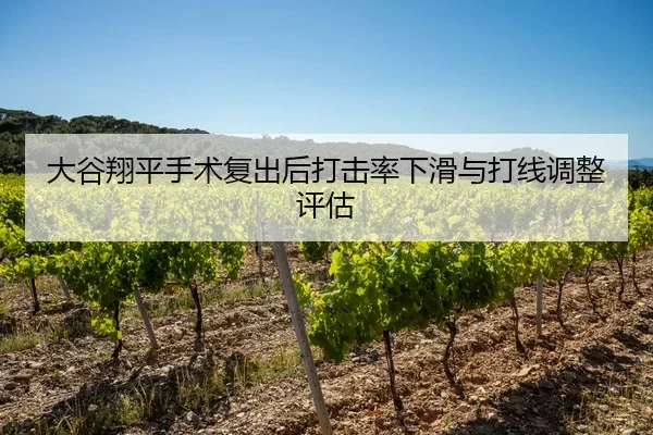 大谷翔平手术复出后打击率下滑与打线调整评估